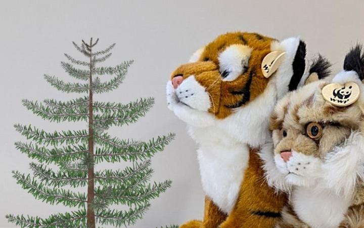 tienda panda wwf