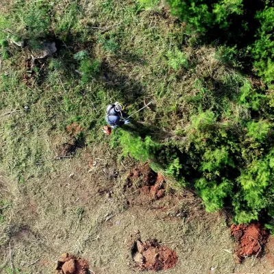 Foto aérea de desbroce
