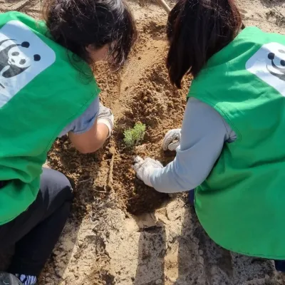 Dos voluntarias de WWF plantando un plantón en suelo arenoso