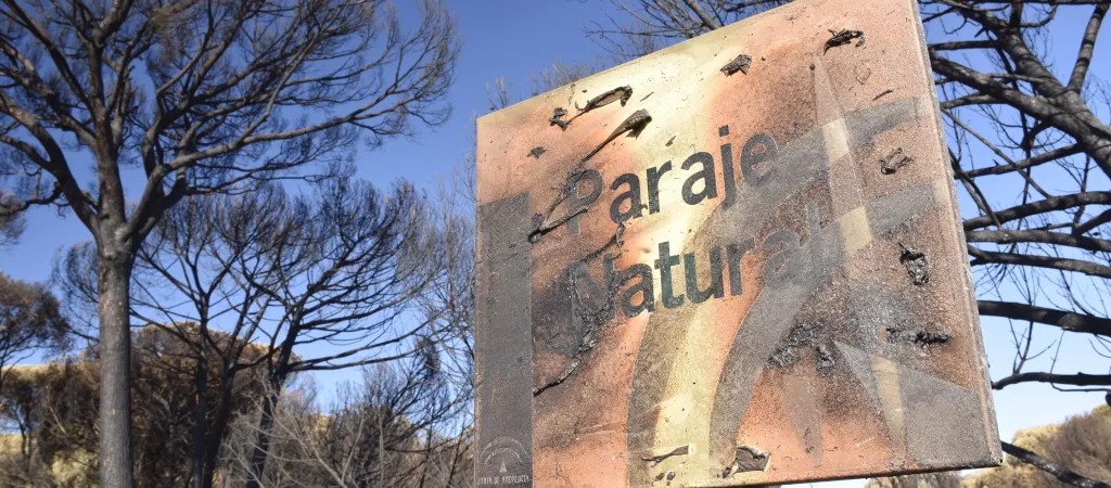 Cartel de paraje natural calcinado entre pinos quemados tras el incendio en Doñana
