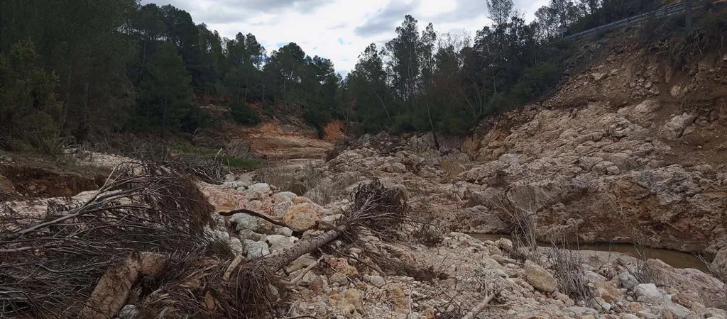 Cauce del río Mijares cubierto de piedras y troncos arrastrados por la dana